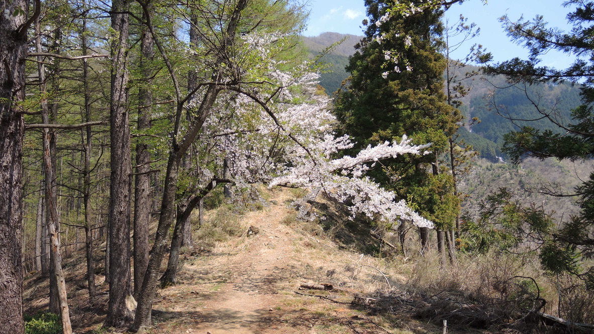 武甲山