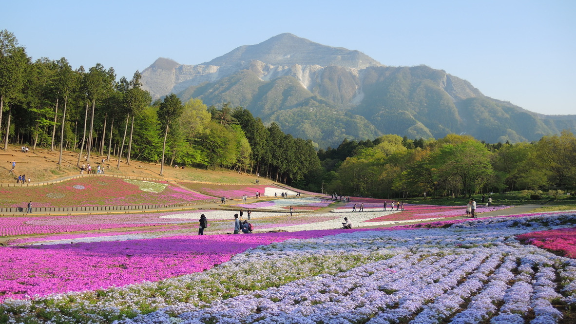 武甲山